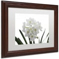 thumbnail image 2 of Trademark Fine Art "Paper White Bouquet" Canvas Art by Kurt Shaffer White Mat, Wood Frame, 2 of 4