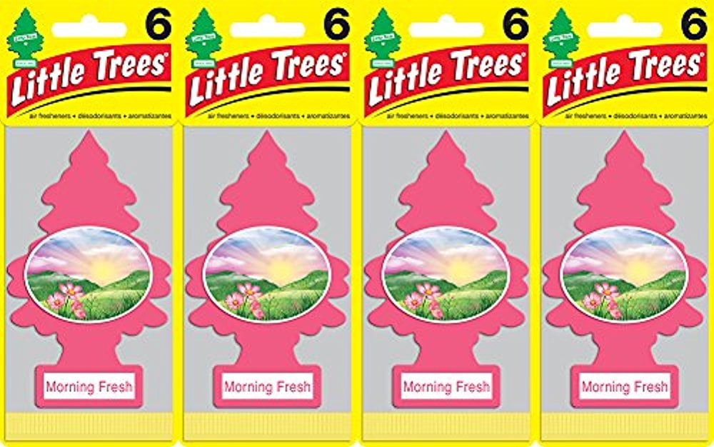 Little Trees Morning Fresh Air Freshener, (Pack of 24)