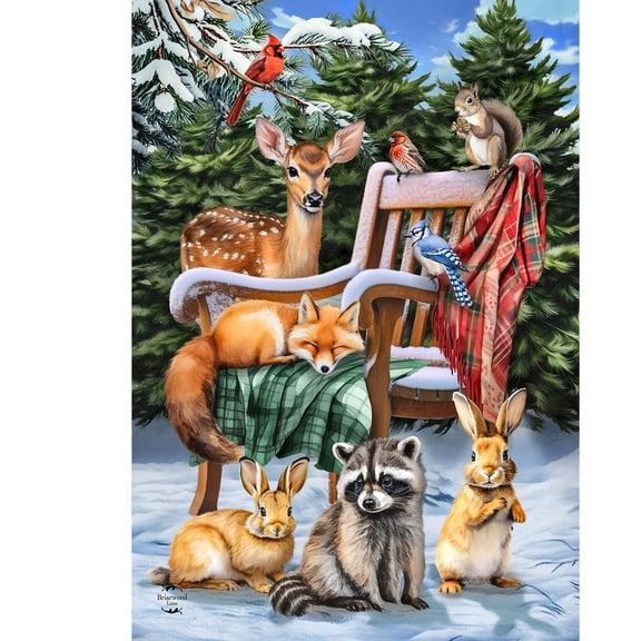 Briarwood Lane Winter Garden Flag 12x18 For Outdoor Snow Day Friends For Winter Garden Flag Flags For Outside