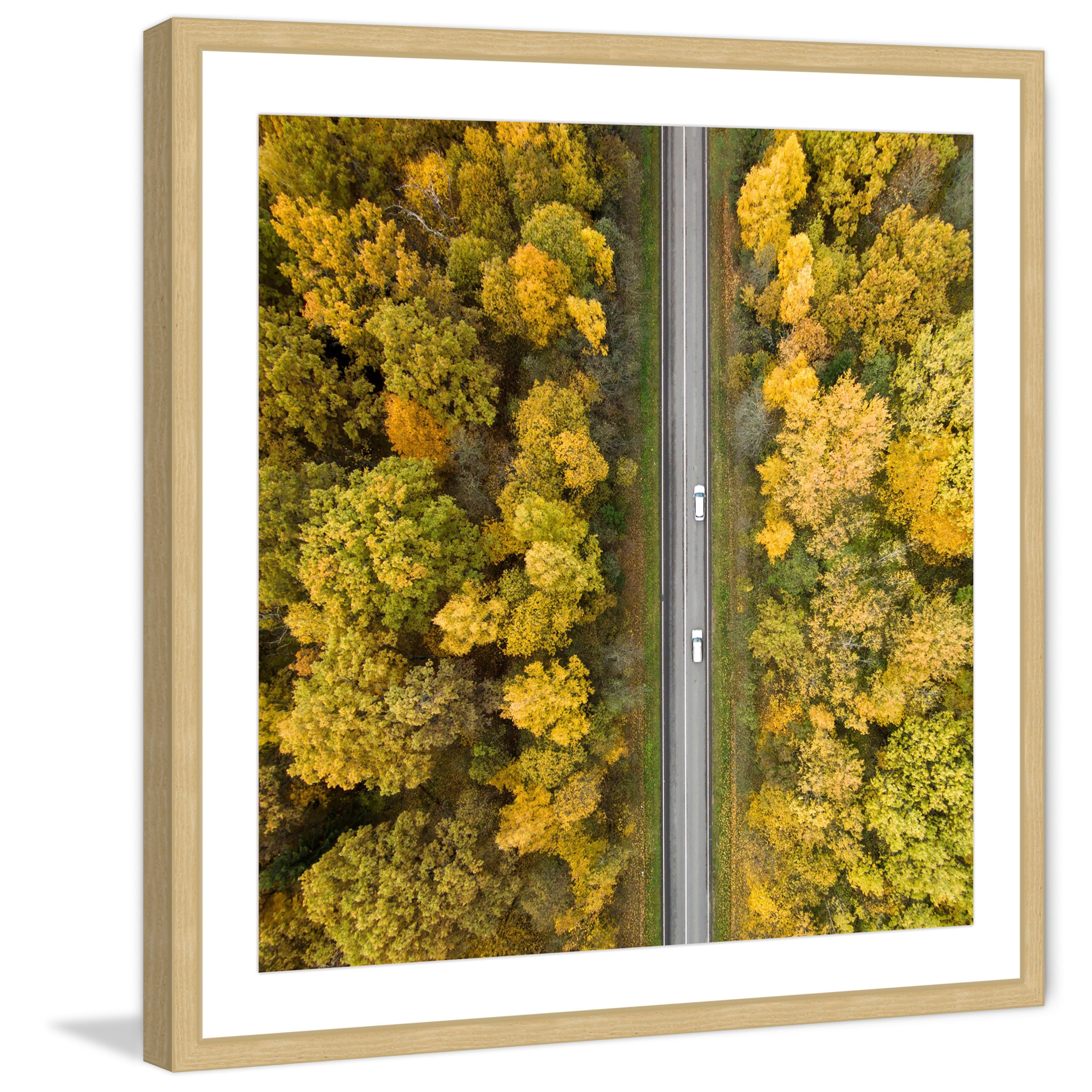 Marmont Hill "Nature Road" By Karolis Janulis Framed Painting Art Print, 32.0" x 1.5"