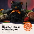 thumbnail image 3 of Bearington Black Cat Plush - Soft & Huggable Plush Toy - Realistic Sparkling Eyes & Stuffed Animal Appeal - Floppy Body for Pretend Play & Kitten Stuffed Animal - Ebony, 7, 3 of 6