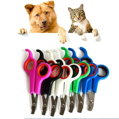 Chicdog Pet Dog Cats Bird Toe Claw Grooming Stainless Steel Scissors Nail (Best Cat Claw Clippers)