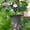 Dwarf, variant on Resin Garden Figurine Stake, Outdoor Whimsical Animal Statue with Shovel Base, Weatherproof Yard Ornament for Lawns, Flower Beds and Pots, 6.5 Inch