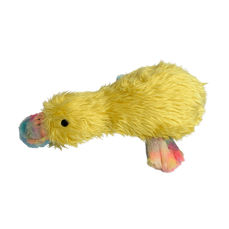 Vibrant Life Spring 9 inch Squeaky Stuffed Yellow Plush Duck Dog Toy 