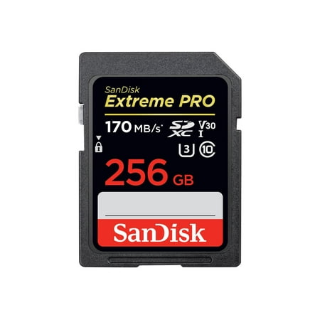 SanDisk Extreme Pro - Flash memory card - 256 GB - Video Class V30 / UHS-I U3 / Class10 - SDXC UHS-I