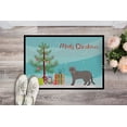 thumbnail image 2 of European Burmese Cat Merry Christmas Door Mat, 2 of 4