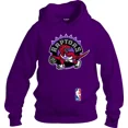 thumbnail image 1 of Sudadera Hoodie Estilo Toronto Raptors M2- Adulto Niño, 1 of 3