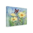 thumbnail image 4 of Tracy Miller 'Butterfly Daisy' Canvas Art, 4 of 4