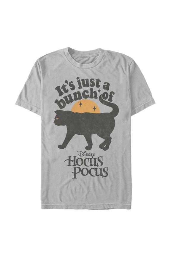Men's Hocus Pocus Binx Cat Graphic Tee Silver Large