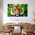 thumbnail image 3 of Elephant Stock Sumatran Tiger Gaze Wall Art - Horizontal Multi Panel Canvas - Living Room Wall Decor - Animal Multi Panel - Green And Brown Decor - 57" x 36", 3 of 8