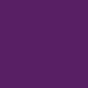thumbnail image 4 of Playera Blusa De Capybara Comiendo Un Huevo Estrellado Capibara Ropa Para Mujer Divertida Color Morado Talla Chica Marca Emil SaEs, 4 of 4