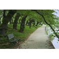 thumbnail image 2 of Flaherty, Dennis 14x11 White Modern Wood Framed Museum Art Print Titled - Washington DC, Cherry trees line a walkway, 2 of 4