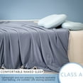 thumbnail image 5 of Cozy Bliss Cooling Comforter Queen Size, Cooling Blankets for Hot Sleepers and Night Sweats, Summer Comforter for Queen Size Bed, Breathable Soft Lightweight Silk Smooth, 5 of 5