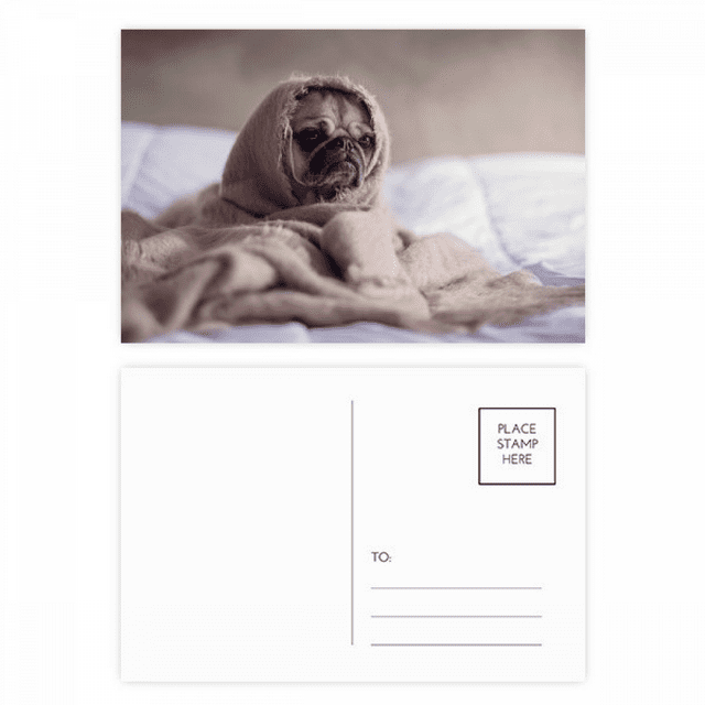 Bulldog mascota animal solo foto Set cumpleaños gracias tarjeta postal correo lado 20pcs
