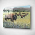 thumbnail image 2 of Epic Art 'Animals of the West I' by Tim O'Toole, Acrylic Glass Wall Art, 24"x16", 2 of 3