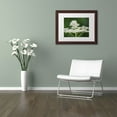 thumbnail image 3 of Trademark Fine Art "Nature is Amazing" Canvas Art by Kurt Shaffer, White Matte, Wood Frame, 3 of 4