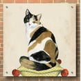 thumbnail image 3 of Epic Art 'Lady Cat III' by Grace Popp, Acrylic Wall Glass, 36"x36", 3 of 7