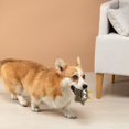 thumbnail image 1 of Jouet Interactif Adorable pour Chats d'Intérieur, 1 of 6