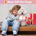 thumbnail image 2 of Pelota de fútbol QDAN Dog Toy con correas para perros pequeños de 5 pulgadas, 2 of 7