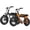 Black+Orange, variant on ESKUTE 2 Pcs V101 Electric Bike for Adults & Teens 750W Peak 1500W, 28MPH, 48V 13Ah Battery, 16"x4.0" Fat Tire E-Bike, 7-Speed, Front Suspension, All-Terrain Ebike Black & Black, UL2849
