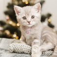 thumbnail image 4 of QHUDLV YXRRVING Dog Diamante Collar Necklace Puppy Crystal Bling Pet Accessories For Puppy H3p4 Co Pendant Kitten Crystal, 4 of 5