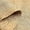 Abaca Natural, variant on · REDEARTH · Jute Cotton Area Rug - 8'x10' Rectangular Rug, Sustainable Handwoven, Non-Shedding, Soft & Durable – Reversible, Neutral Tones for Home Décor in Living Room, Dining Room, Bedroom