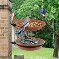 thumbnail image 4 of Bebedero para pájaros, comedero para pájaros independiente al aire libre, baños para pájaros silvestres, alimentador de alimentos para bañera colgante, kit de decoración de jardín para atraer pájaros, 4 of 5