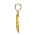 thumbnail image 2 of FJC Finejewelers 14k Yellow Gold Brushed Bright Cut Sand Dollar Charm, 2 of 7