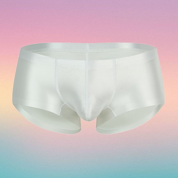 Men's Underwear Breathable Sheer Shiny Low Rise Briefs for Daily Comfort and All-Season Wear
