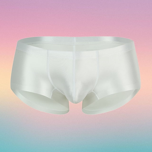 Men's Underwear Breathable Sheer Shiny Low Rise Briefs for Daily Comfort and All-Season Wear