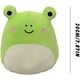 thumbnail image 2 of Peluche de rana, peluche de rana, peluche kawaii, almohada kawaii, almohada de peluche, rana gorda, regalos para niños Xemadio WRMH-1379-2, 2 of 3