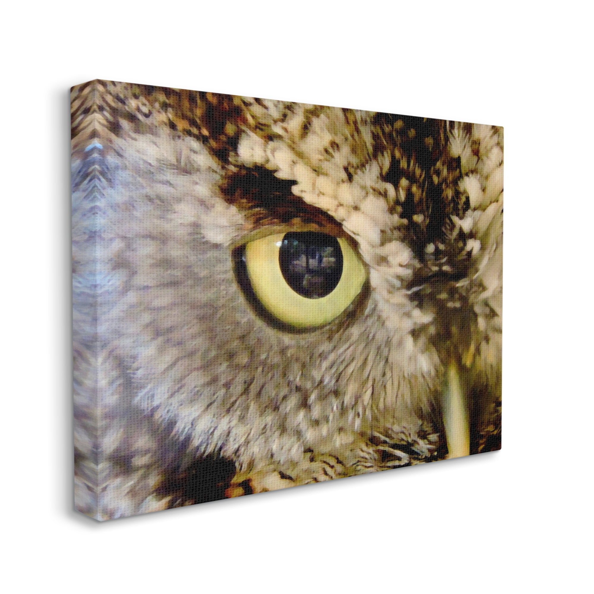 Stupell Industries Owl Eye Close Up Wildlife Animals & Insects Painting Gallery Wrapped Canvas Print Wall Art