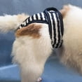 thumbnail image 4 of 3 Pack Washable Female Diapers Female Dog Diapers, Comfort Reusable, 4 of 5