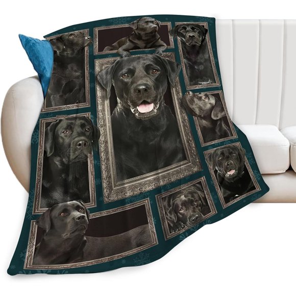 Retriever Dog Blanket Labrador Retriever Gifts And Decor Cute Dog Throw Blanket