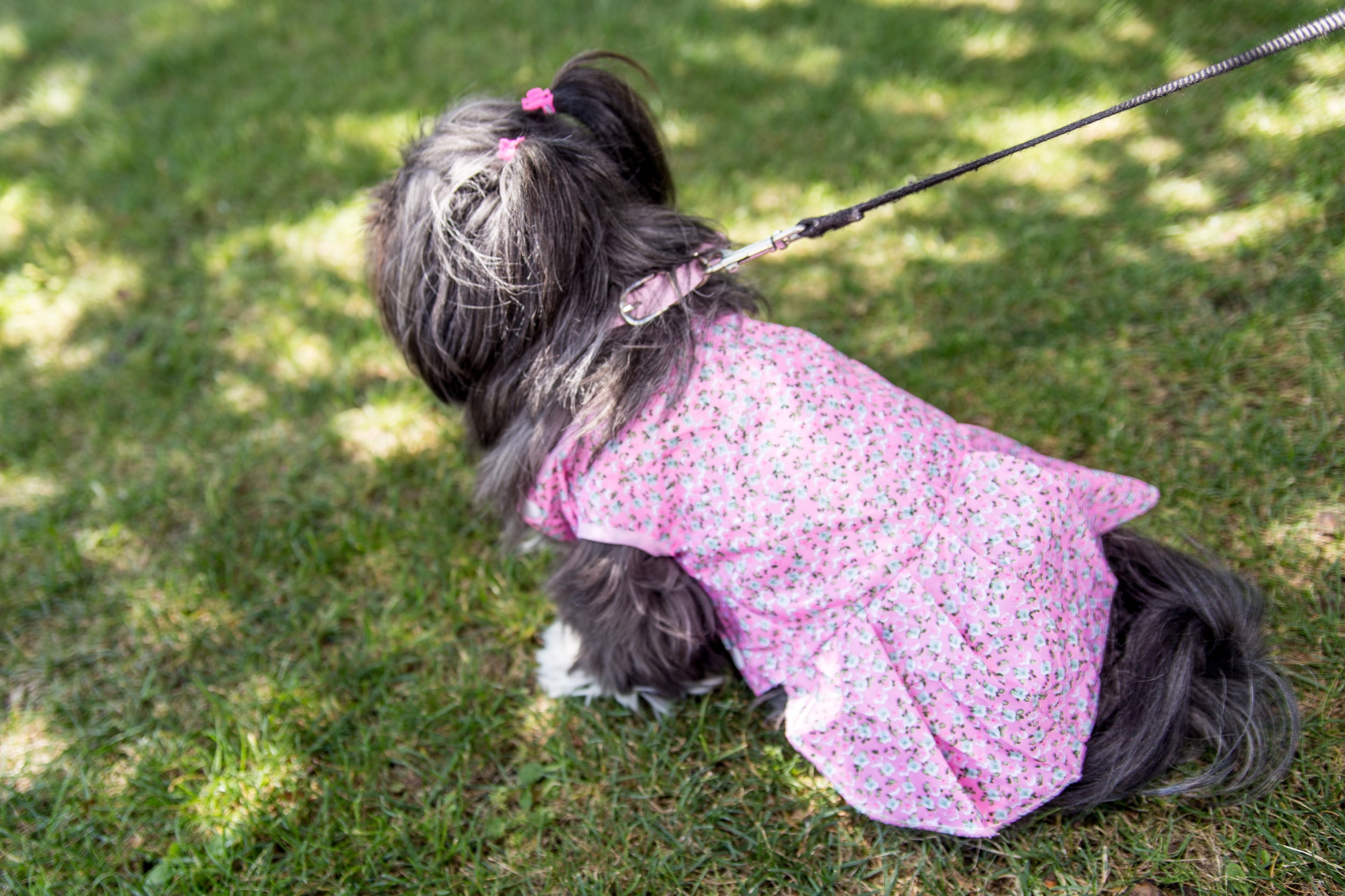 Pink Floral Dog Dress – Lightweight Everyday Outfit for Small Breed Dogs & Puppies – Multiple Sizes Available