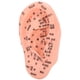 thumbnail image 3 of Modelo de punto de acupuntura del oído, modelo de zona de reflejo del oído Modelo de enseñanza de acupuntura del oído Modelo de punto de acupuntura del oído humano Respuesta rápida, 3 of 8