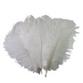 thumbnail image 1 of 10 Pcs/Lot Natural White Ostrich Feathers For Crafts 15-75CM, 1 of 7