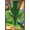 Bronze Framed Version, variant on Dragon Ball Z: Cell Saga - Shenron Wall Poster, 22.375" x 34"