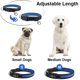 thumbnail image 4 of Collar LED para perro azul (mediano (40-55 cm)), ajustable, con 3 modos y 7 colores, impermeable, recargable por USB., 4 of 5