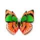 thumbnail image 1 of Estacas De Mariposa 4 Uds estacas de mariposa 7/12cm decoración de macetas de PVC para decoración interior/exterior Sywqhk Libre de BPA, 1 of 8