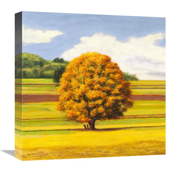 Global Gallery's 'Pianure serene I (detail)' by Angelo Masera Stretched Canvas Wall Art