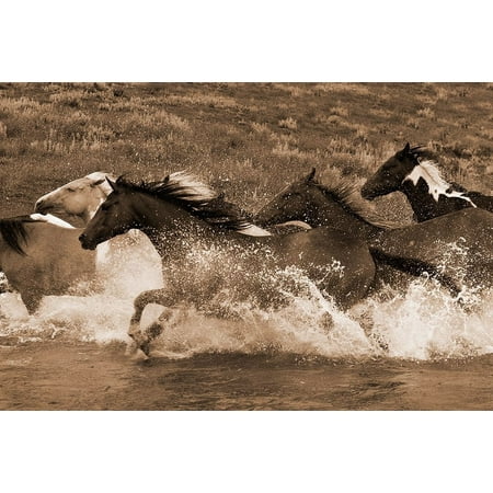 River Race Poster Print by Robert Dawson