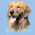 thumbnail image 3 of CafePress - Golden Retriever T Shirt - Men's Classic Graphic T-Shirt, 3 of 4