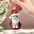 thumbnail image 6 of Personalized Christmas Cat Ornaments, 2D Flat Shatterproof Cat Christmas Hangings Decoration, Cute Christmas Tree Cats Hanging Decorations for Indoor Home/Party/Mantel/Car (D), 6 of 7