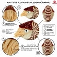 thumbnail image 3 of MAOWO Planet Chambered Nautilus Realistic Plush Toy 19cm Soft Nautical Sea Creature Stuffed Animal Educational Marine Life Collectible Living Fossil Gift for Kids and Ocean Lovers, 3 of 4