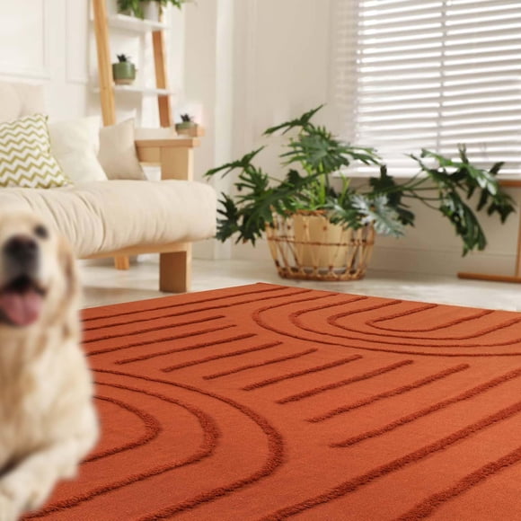 LEEVAN Tapis Lavables pour Salon 5x8, Tapis de Nurserie Arc-en-Ciel Tufté en Terre Cuite, Tapis de Sol Boho à Poils Courts pour Chambre, Tapis Moderne de Style Ferme pour Chambre d'Enfant f