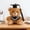 Brown, variant on Graduation Bear Plush Toy 15cm – Soft Stuffed Animal with Detachable Cap & Embroidered Details, Commemorative Gift for Graduates, Classmates, Girlfriend (5.9in, 2 Colors)