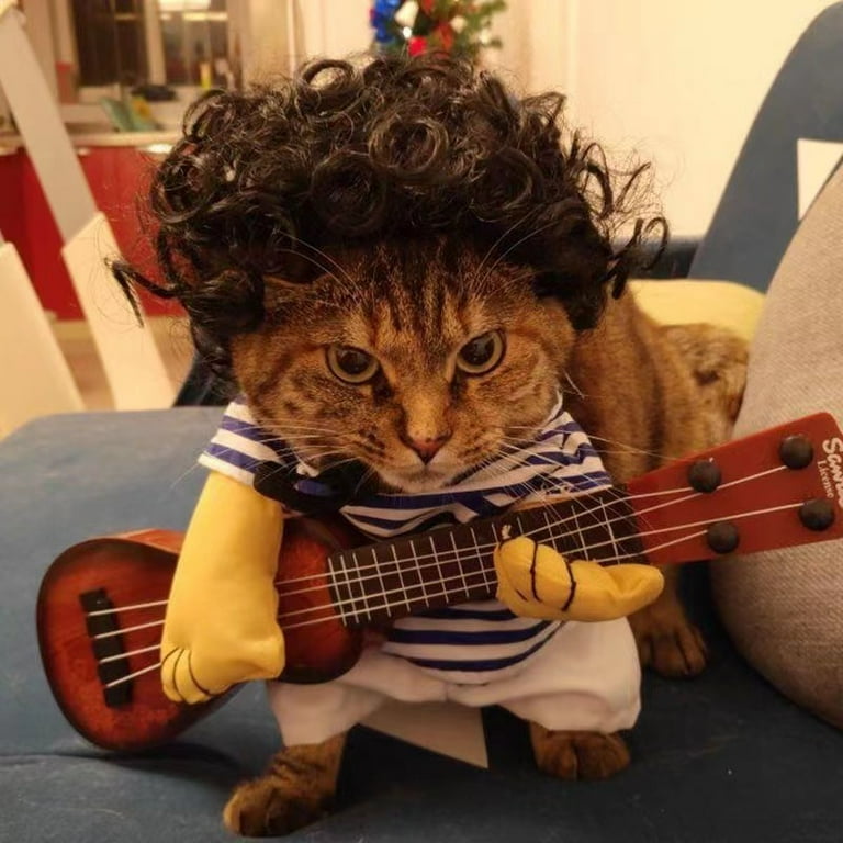 Cat in top guitar costume