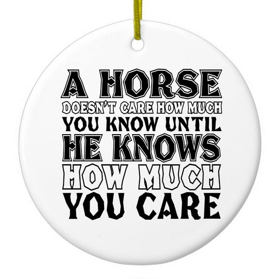 DistinctInk Hanging Ceramic Christmass Tree Ornament with Gold String - Great Gift / Present - 2 3/4 inch diameter - Horse Doesn't Care How Much You Know