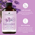 thumbnail image 3 of Handcraft Blends Lavender Essential Oil - 100% Pure and Natural - Premium Grade Essential Oil for Diffuser and Aromatherapy - 1 Fl Oz, 3 of 7